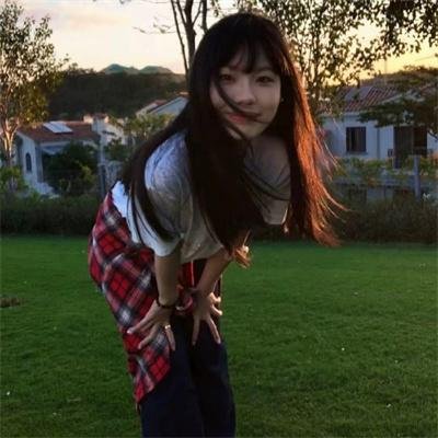 大鸟和小鸟